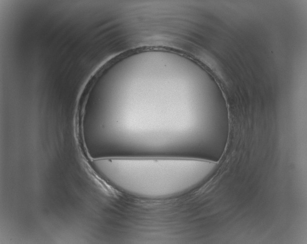 X0000073741076200608031103
