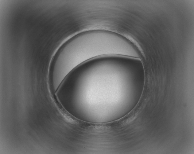 X0000073741077200608031103