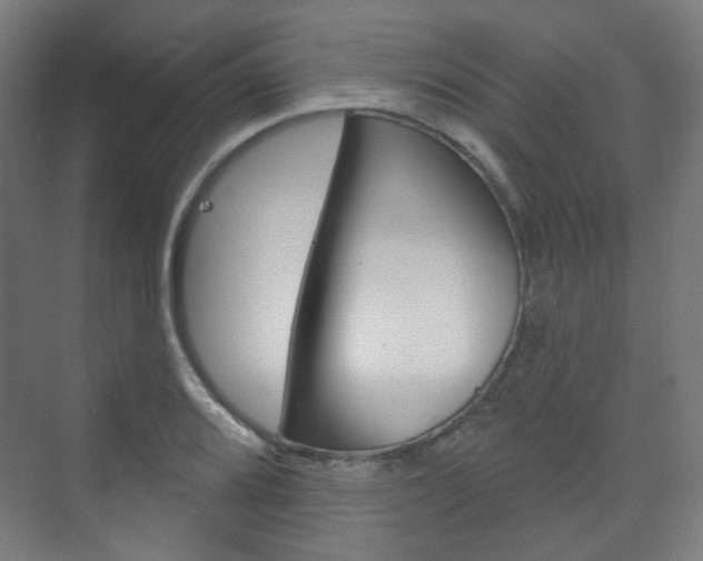 X0000073741080200608031103