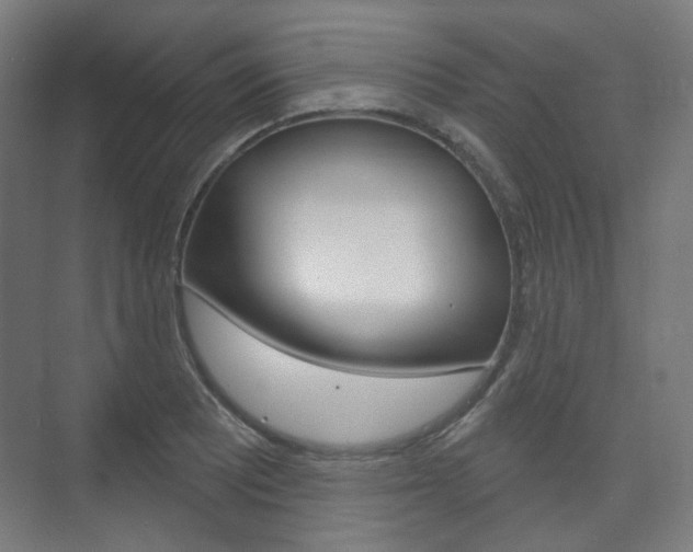 X0000073741081200608031103