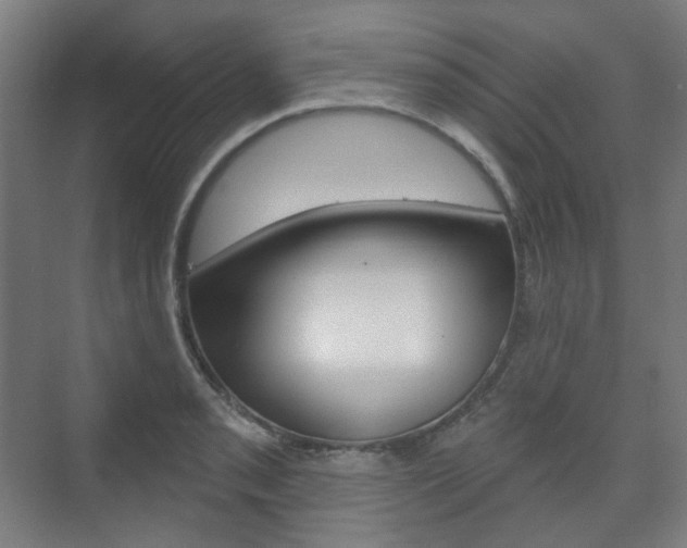 X0000073741085200608031103