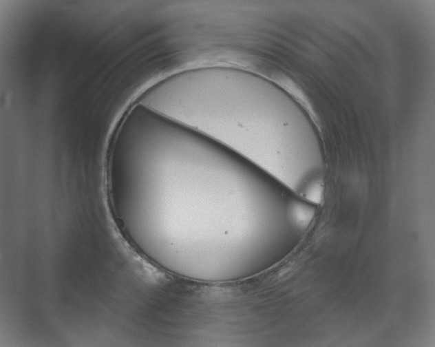 X0000073741088200608031103