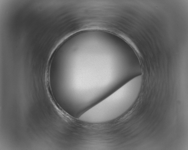 X0000073741101200608031103