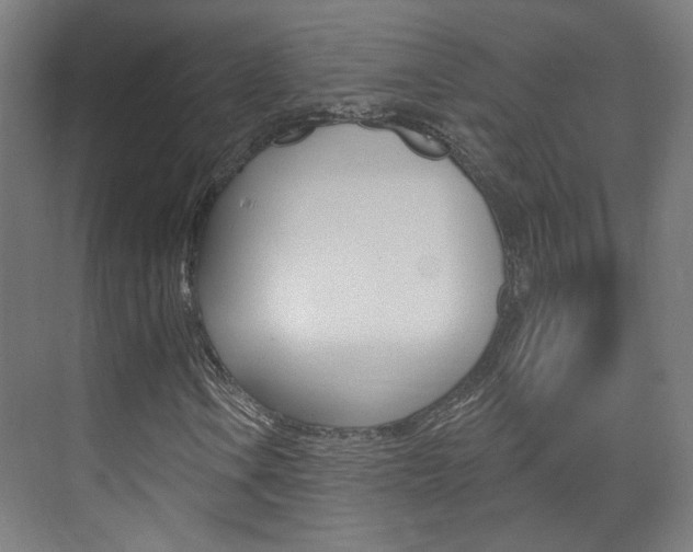 X0000073741106200608031102