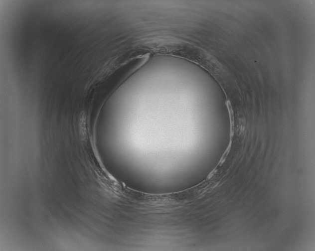 X0000073741108200608031102