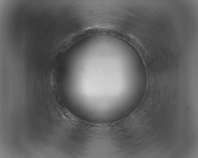 X0000073741110200608031102