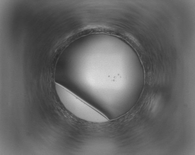 X0000073741111200608031102