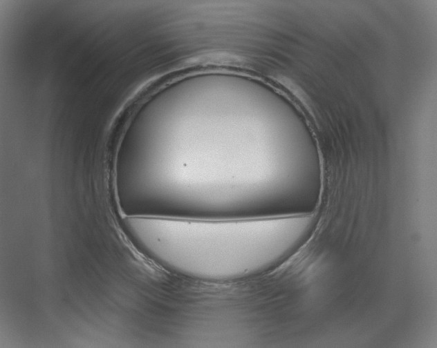 X0000073741115200608031102