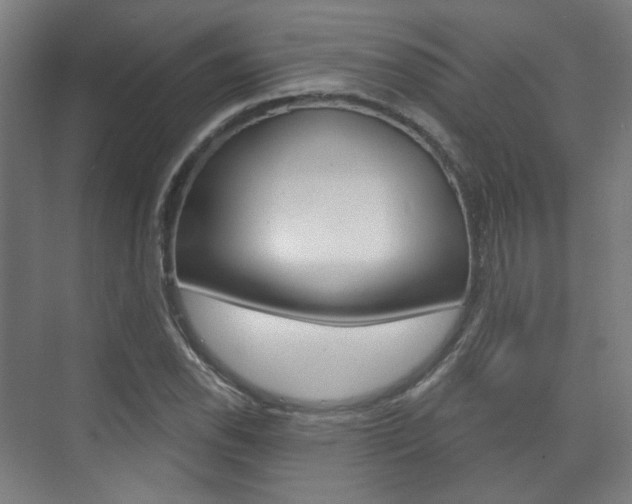 X0000073741118200608031102