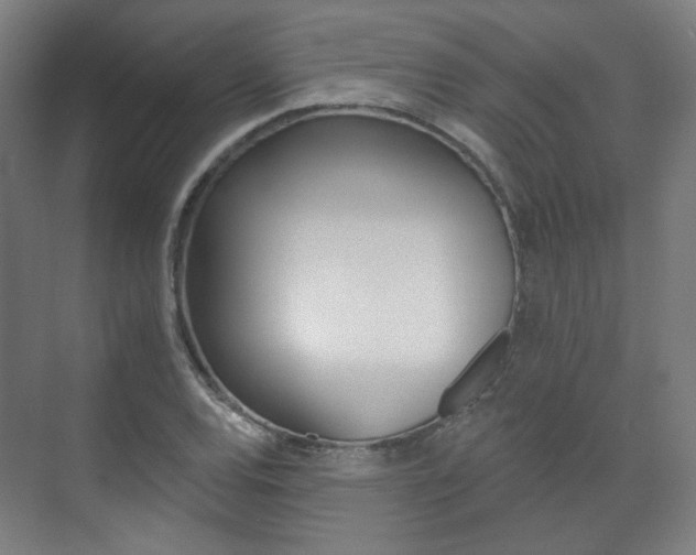 X0000073741120200608031102