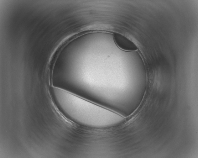 X0000073741123200608031102