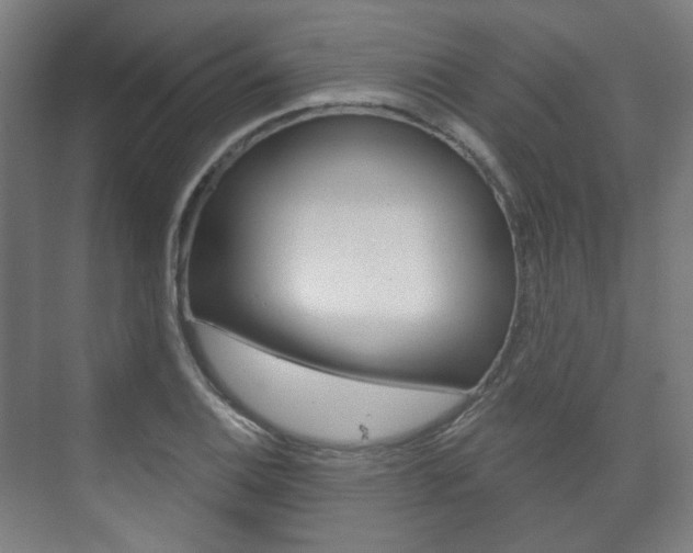 X0000073741124200608031102