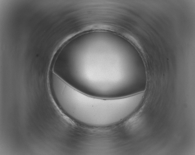 X0000073741133200608031103