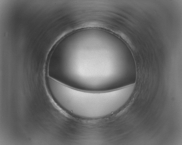 X0000073741134200608031103