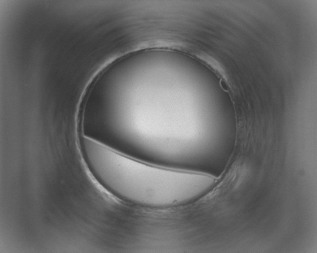 X0000073741135200608031103