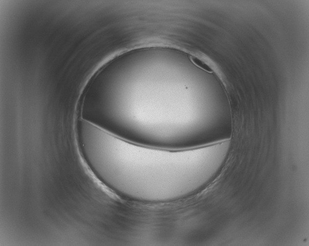 X0000073741142200608031103