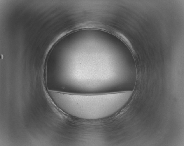 X0000073741146200608031103