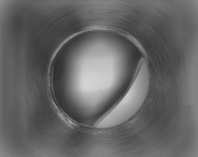 X0000073741148200608031103