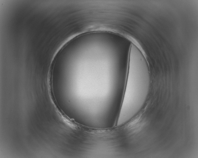 X0000073741149200608031103
