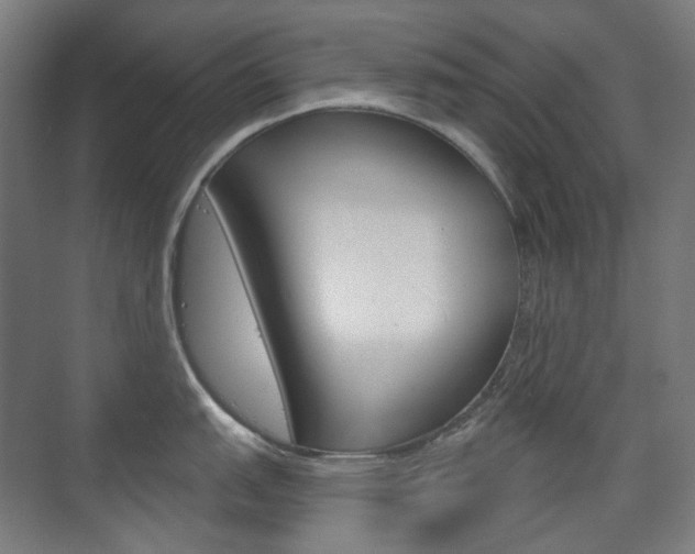 X0000073741151200608031103
