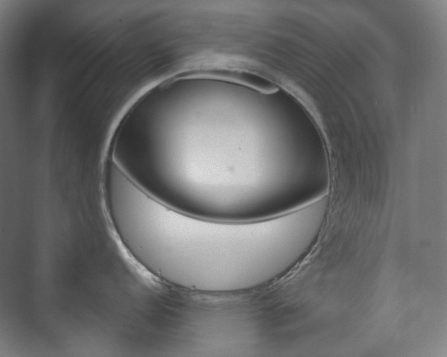 X0000073741152200608031103