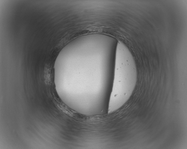 X0000073741154200608031102