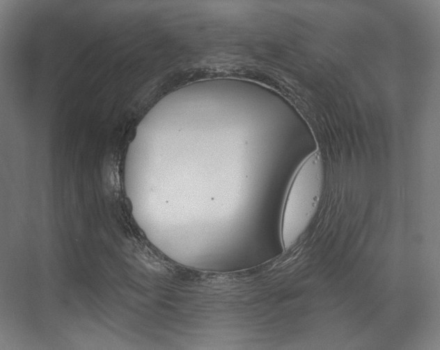 X0000073741155200608031102