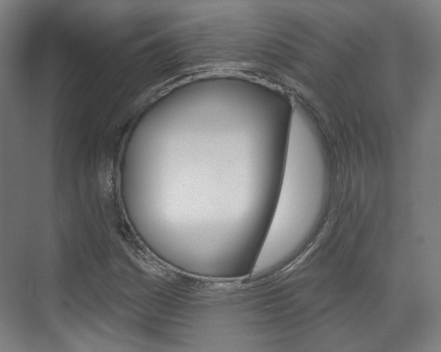 X0000073741161200608031102