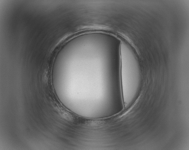 X0000073741163200608031102