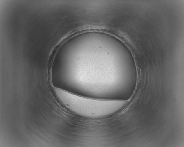 X0000073741165200608031102