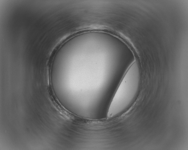 X0000073741171200608031102