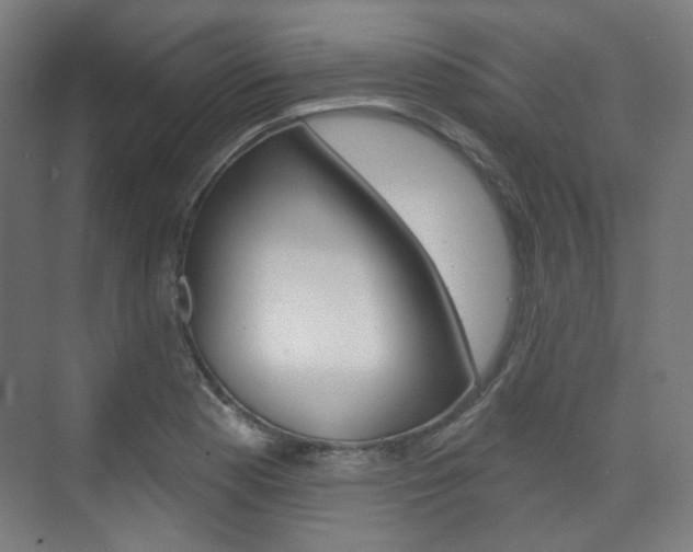 X0000073741177200608031102