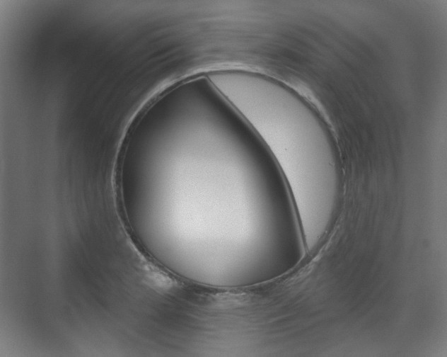 X0000073741181200608031102