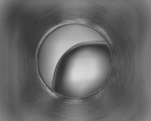 X0000073741184200608031102