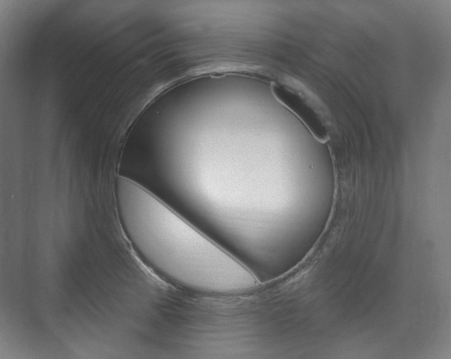 X0000073741185200608031102