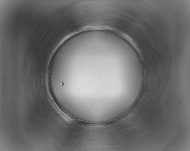X0000073741187200608031102