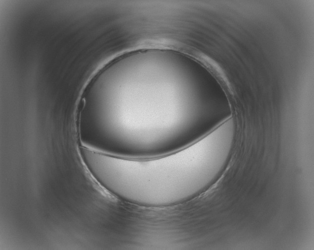 X0000073741192200608031101