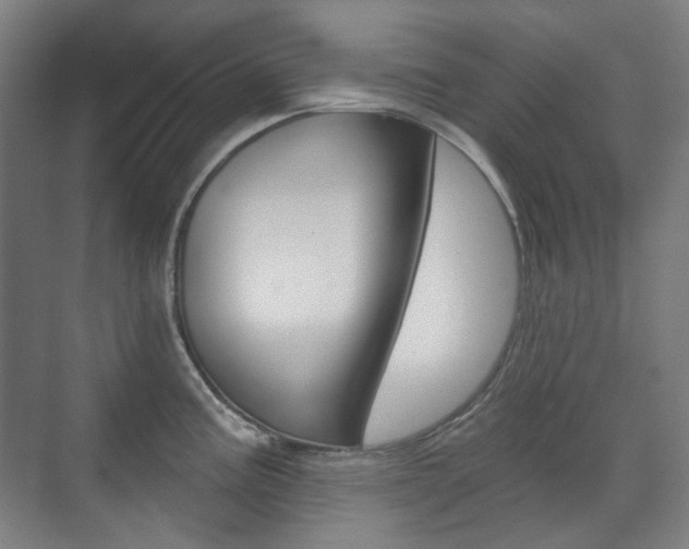 X0000073741195200608031101
