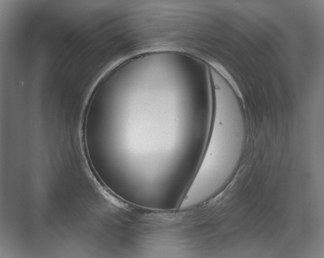 X0000073741197200608031101