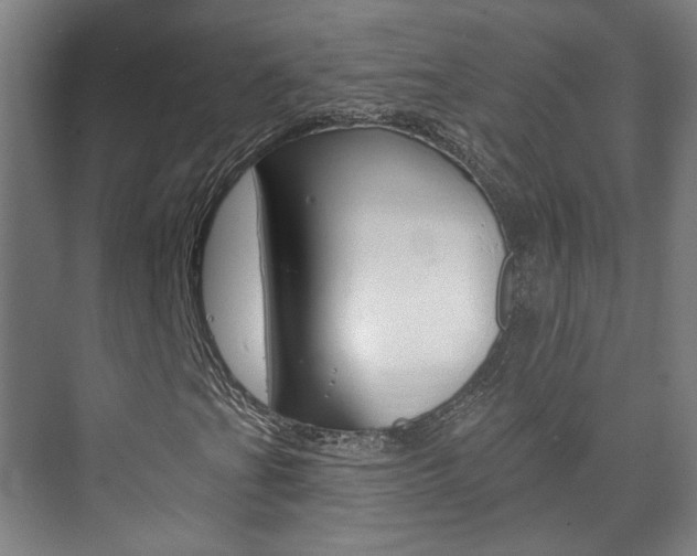 X0000073741201200608031100