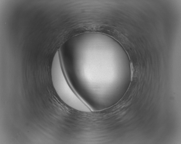 X0000073741202200608031100