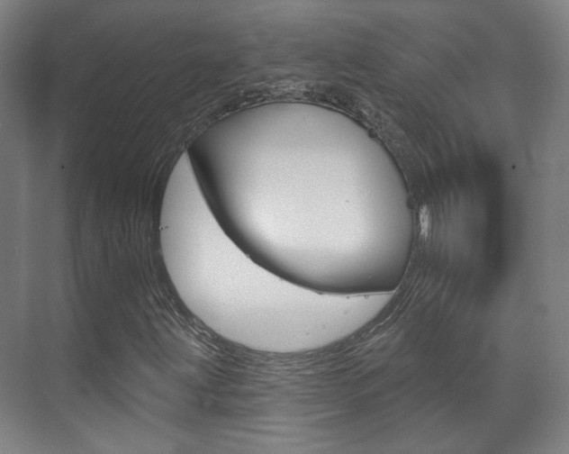 X0000073741203200608031101