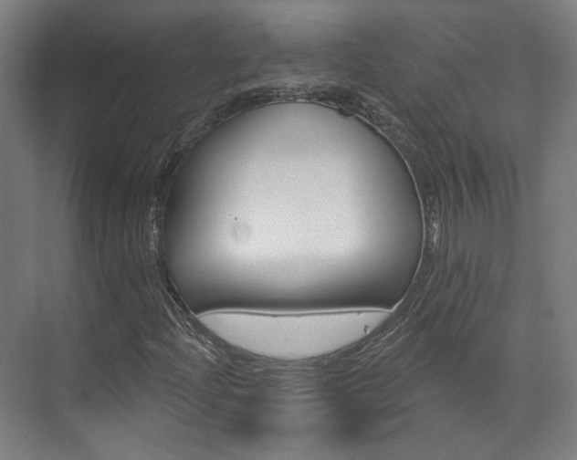 X0000073741204200608031101