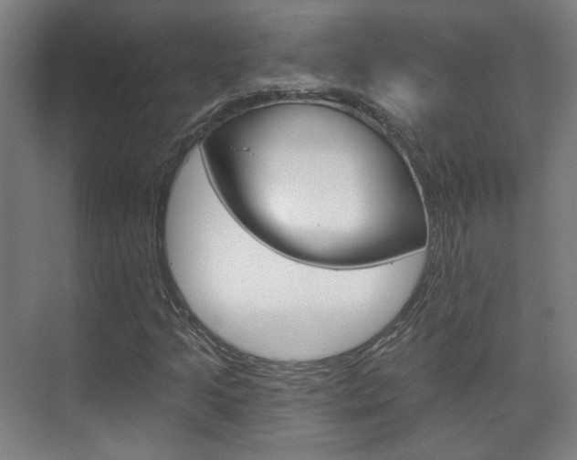 X0000073741205200608031101