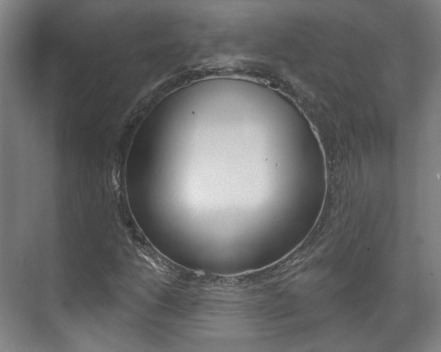 X0000073741206200608031101