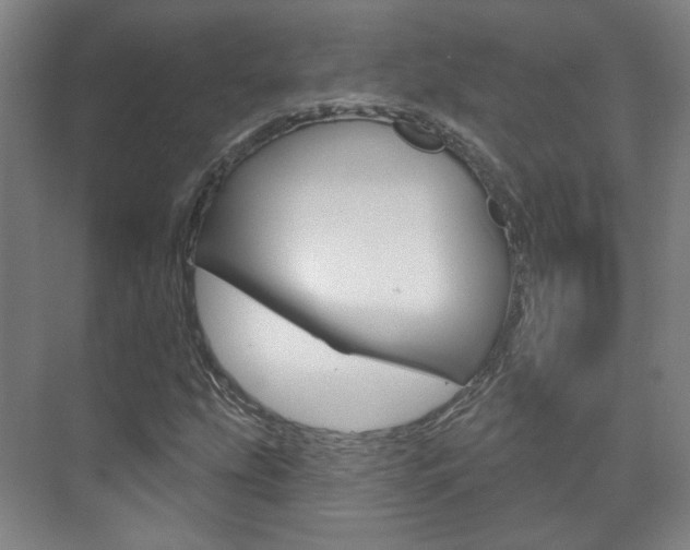 X0000073741207200608031101