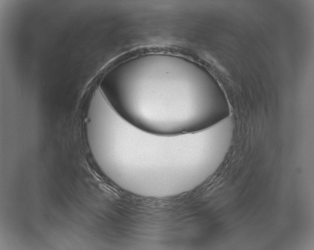X0000073741208200608031101
