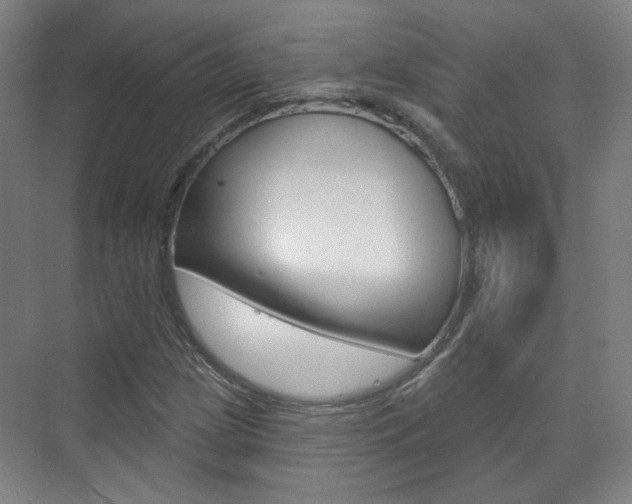 X0000073741209200608031101