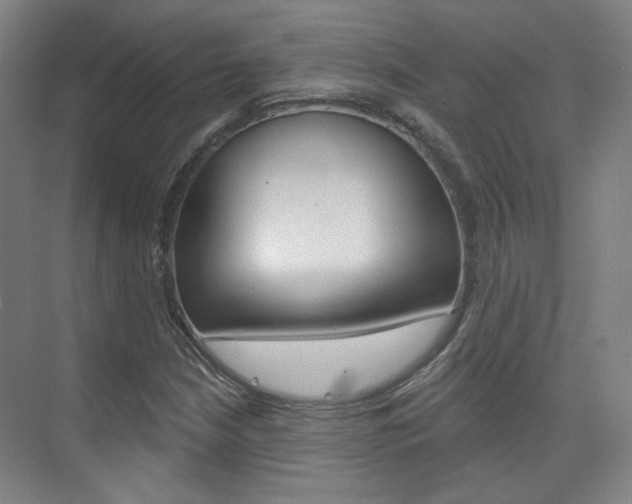 X0000073741210200608031101