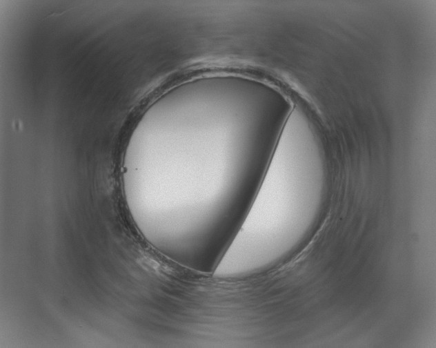 X0000073741213200608031101
